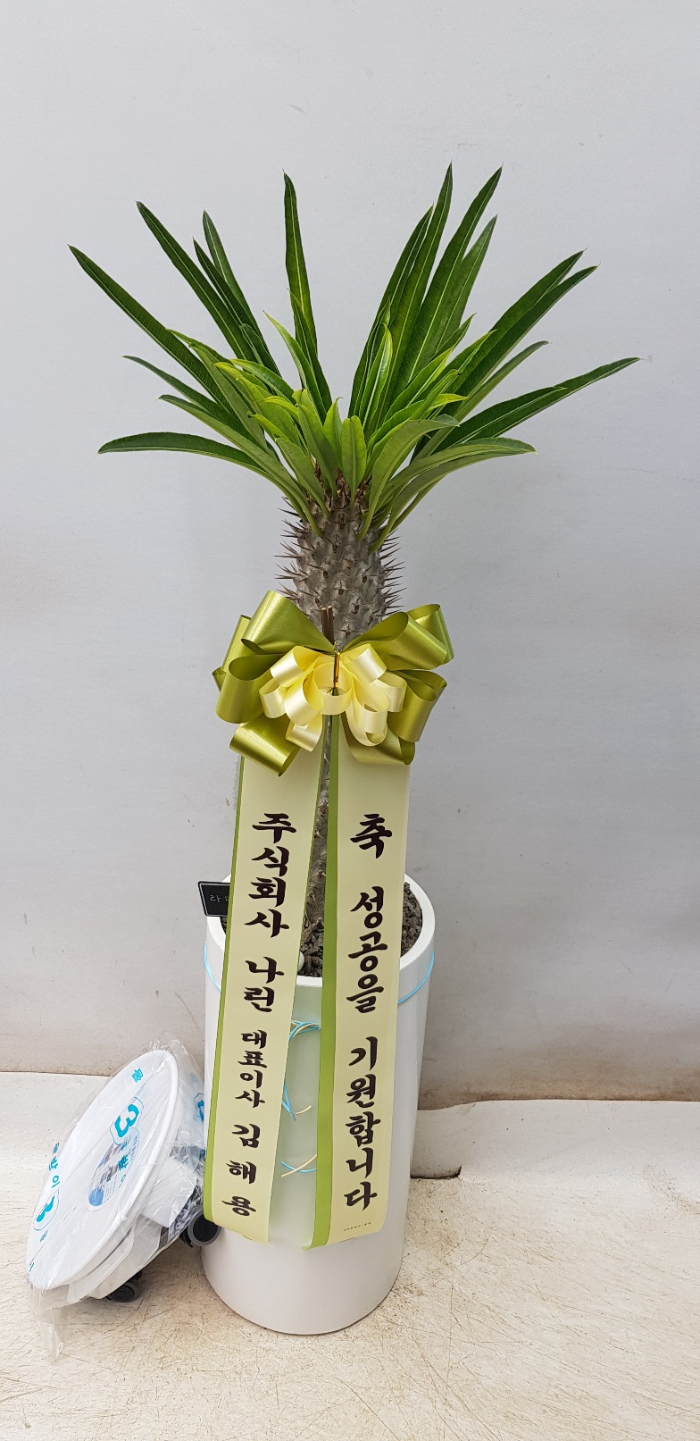 업로드 이미지