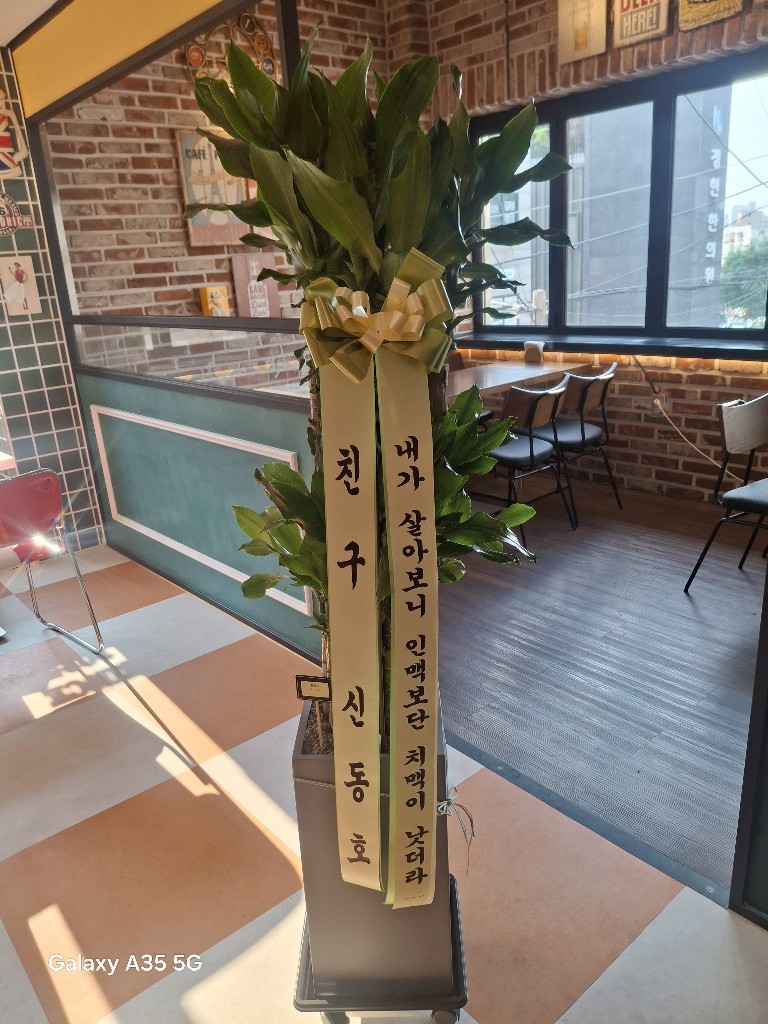 업로드 이미지