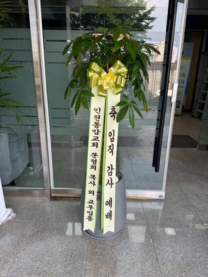업로드 이미지