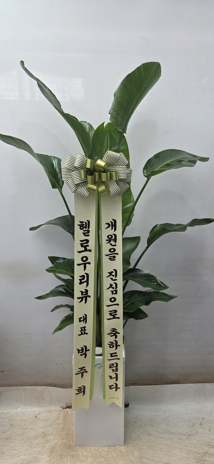 업로드 이미지