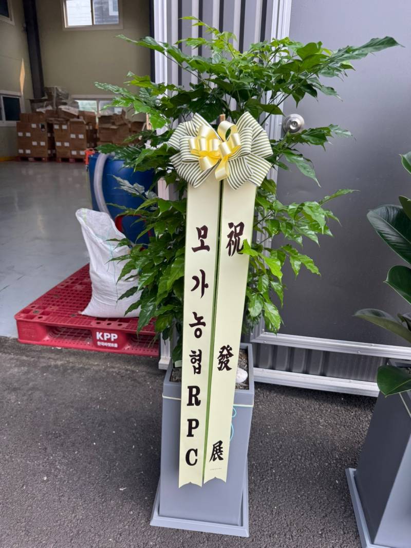 업로드 이미지
