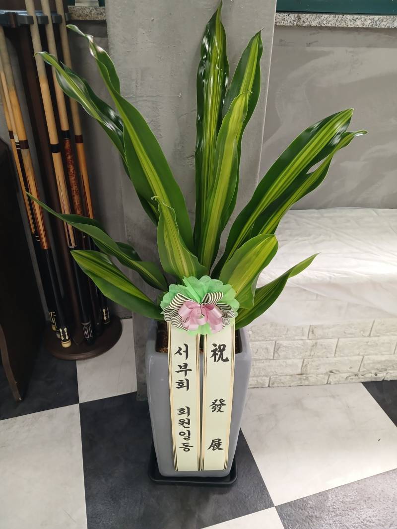 업로드 이미지
