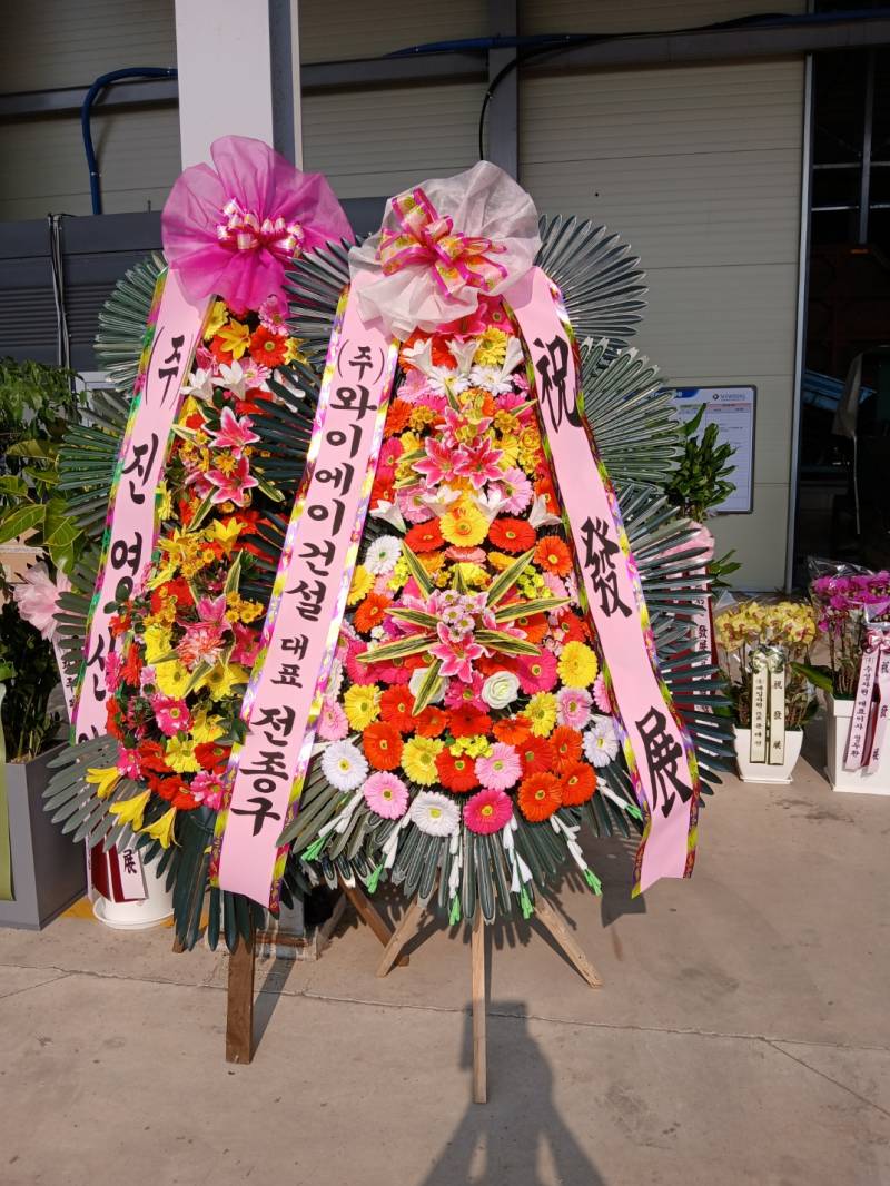 업로드 이미지