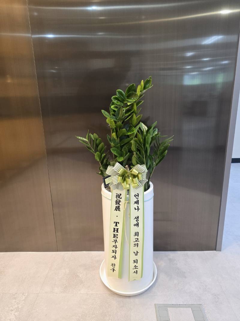 업로드 이미지