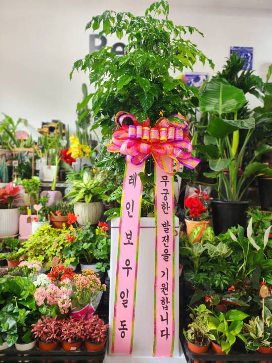 업로드 이미지