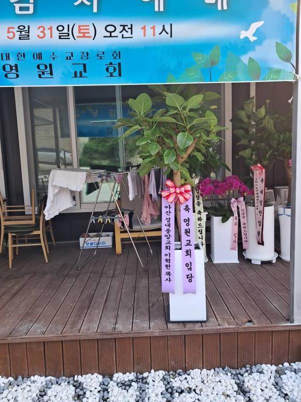 업로드 이미지