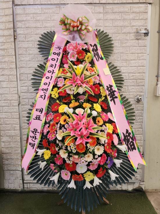 업로드 이미지