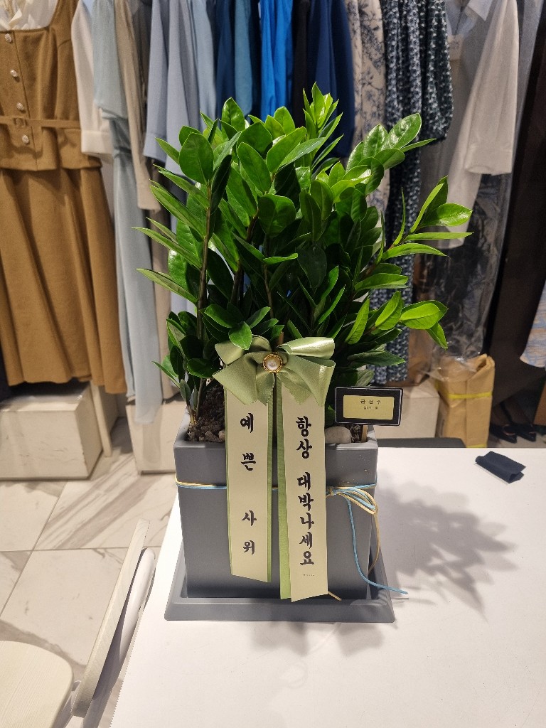 업로드 이미지