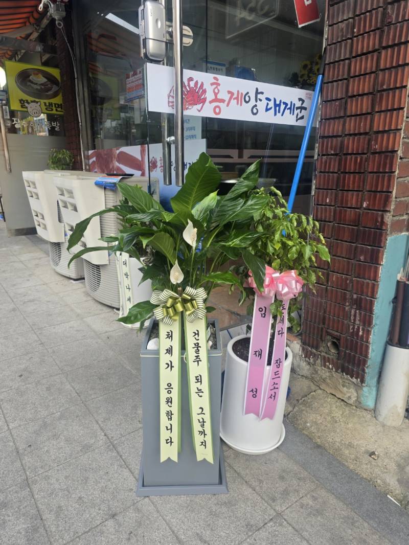 업로드 이미지