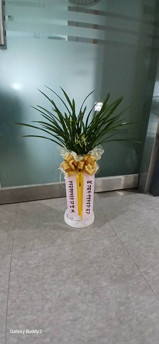 업로드 이미지