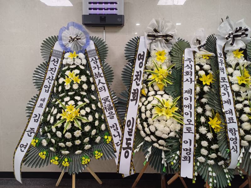 업로드 이미지