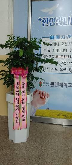 업로드 이미지