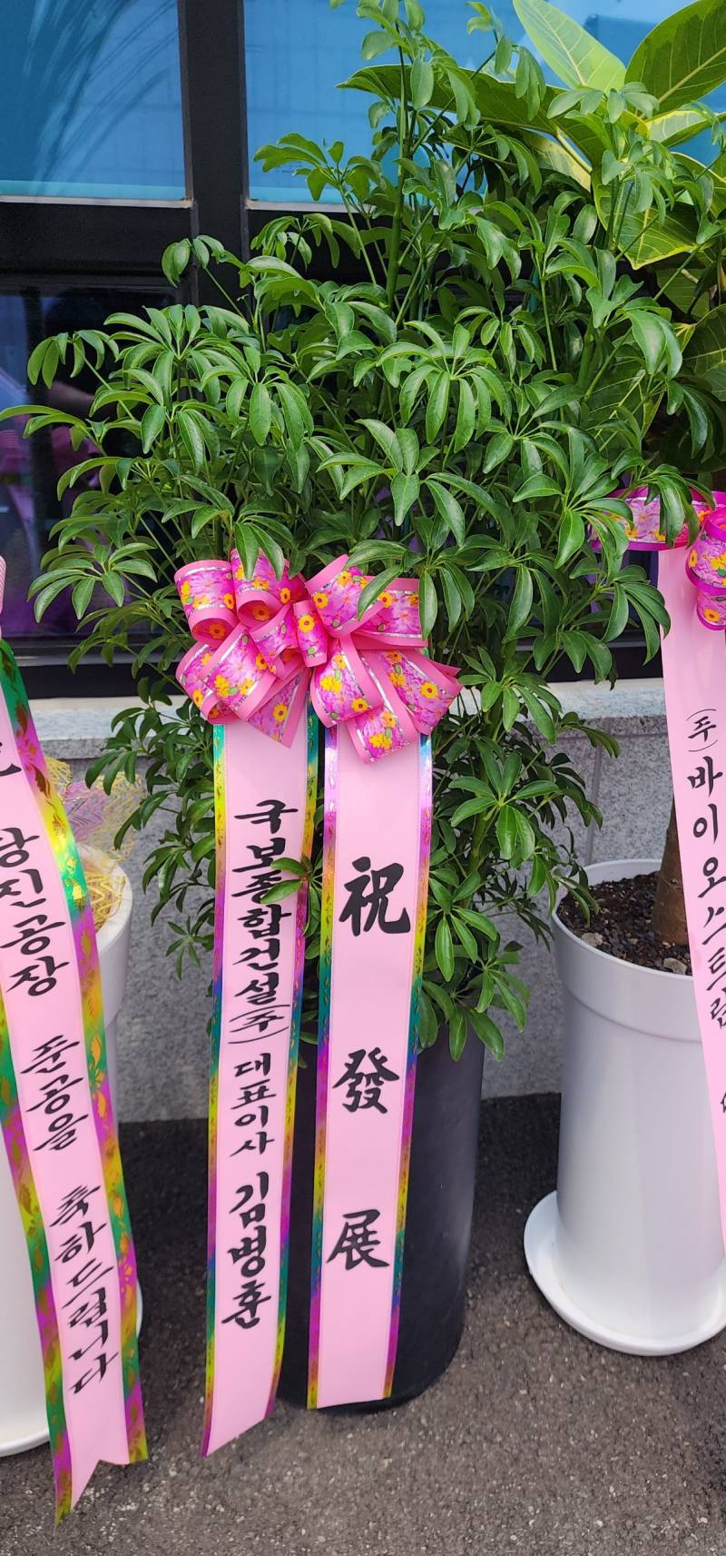 업로드 이미지
