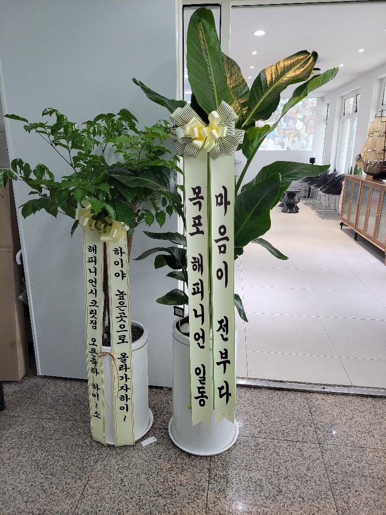 업로드 이미지