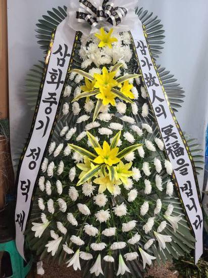 업로드 이미지