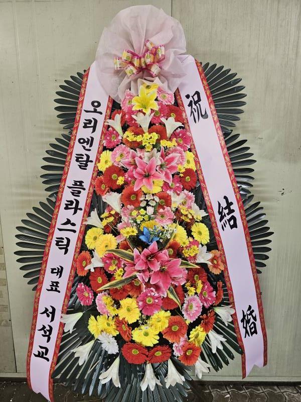 업로드 이미지