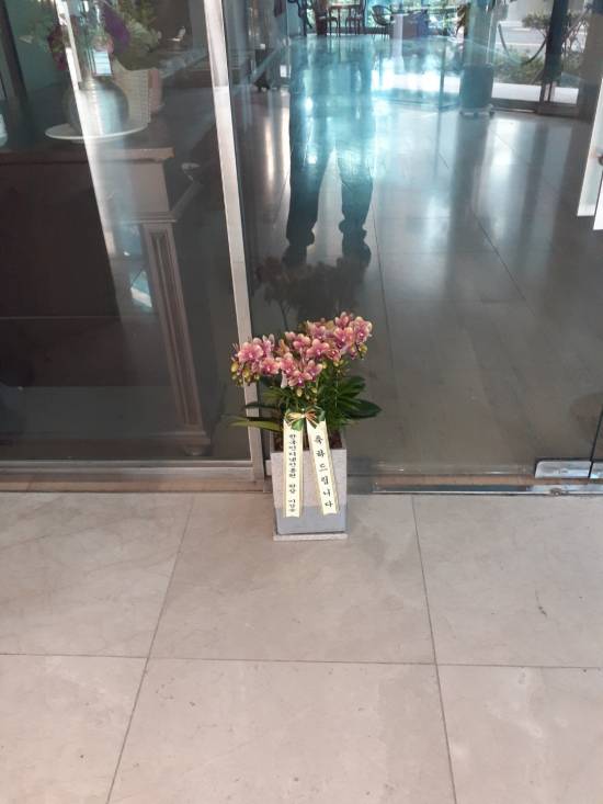 업로드 이미지