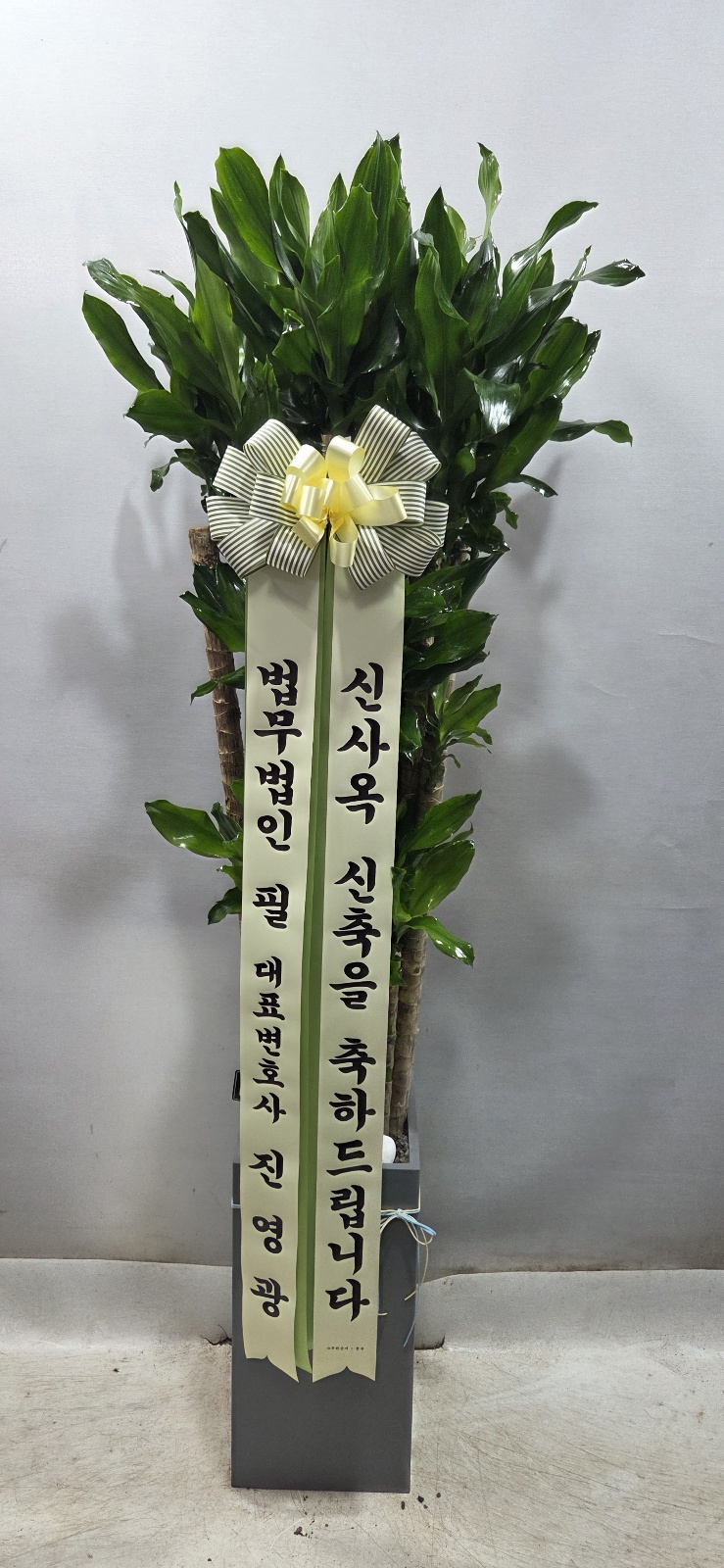 업로드 이미지