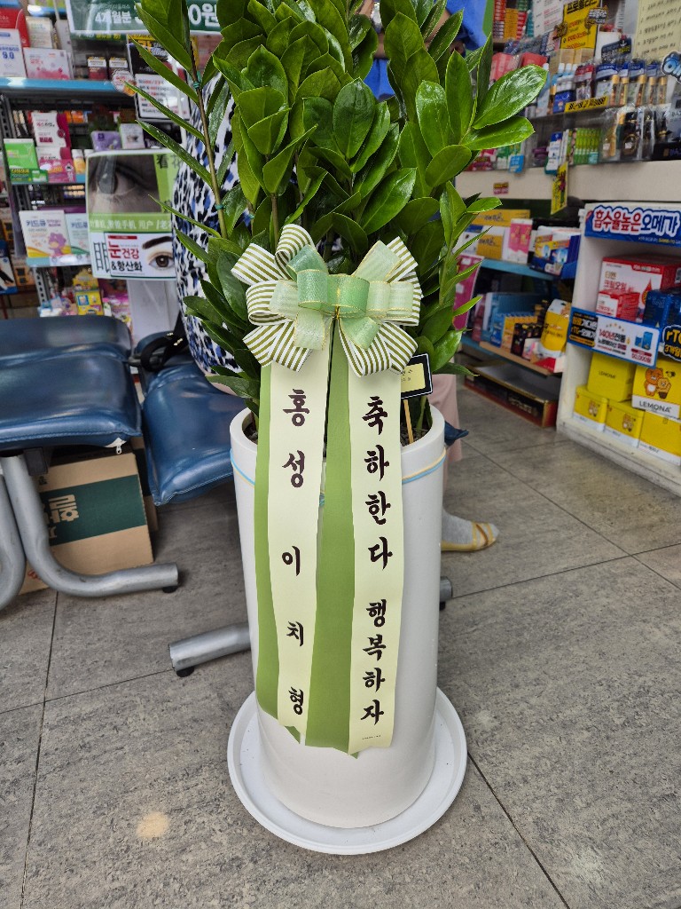 업로드 이미지