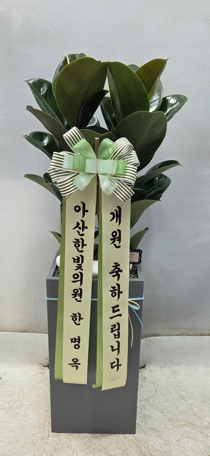 업로드 이미지