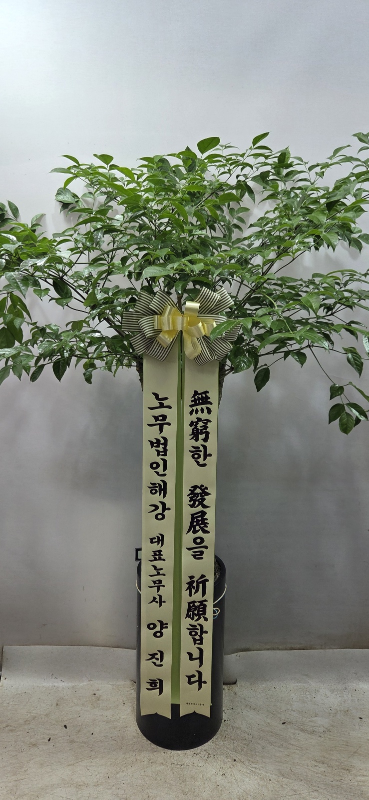 업로드 이미지