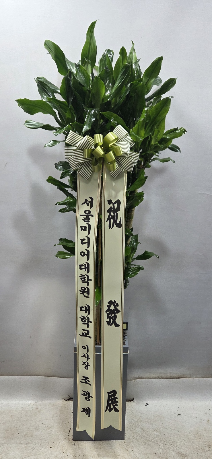 업로드 이미지