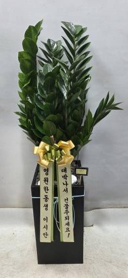 업로드 이미지