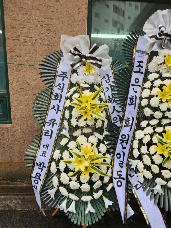 업로드 이미지
