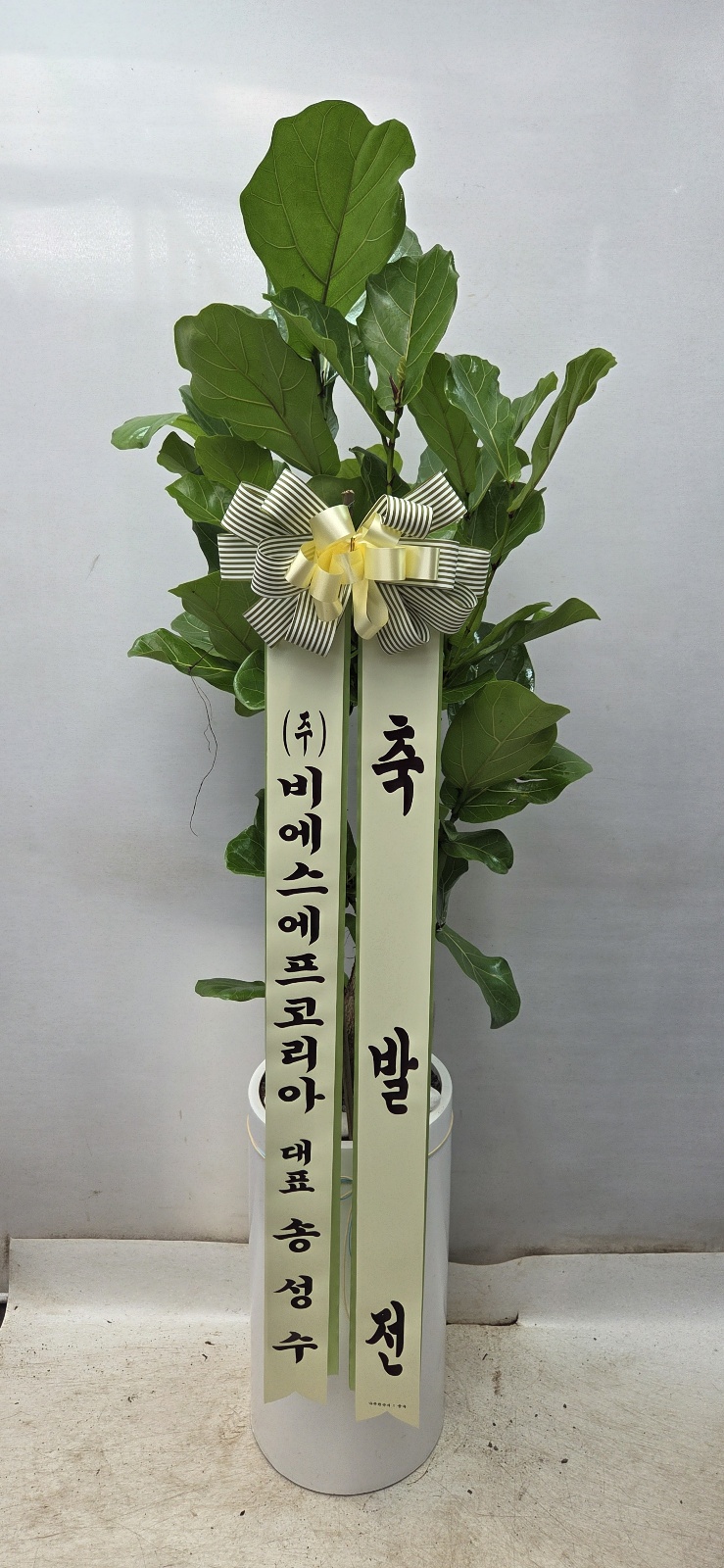 업로드 이미지