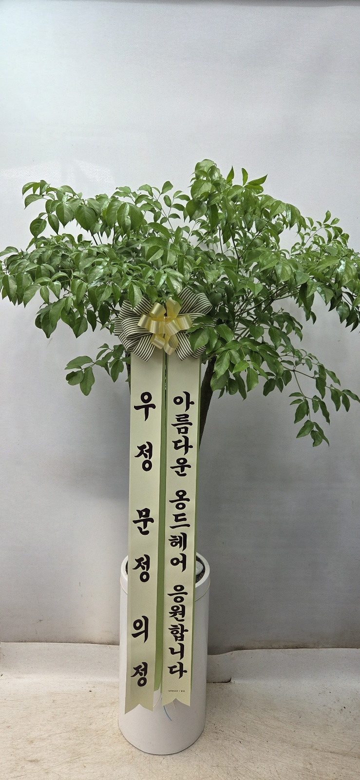 업로드 이미지