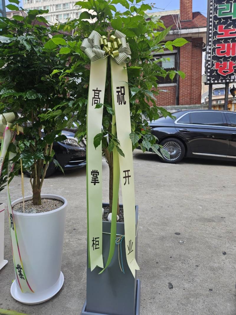 업로드 이미지
