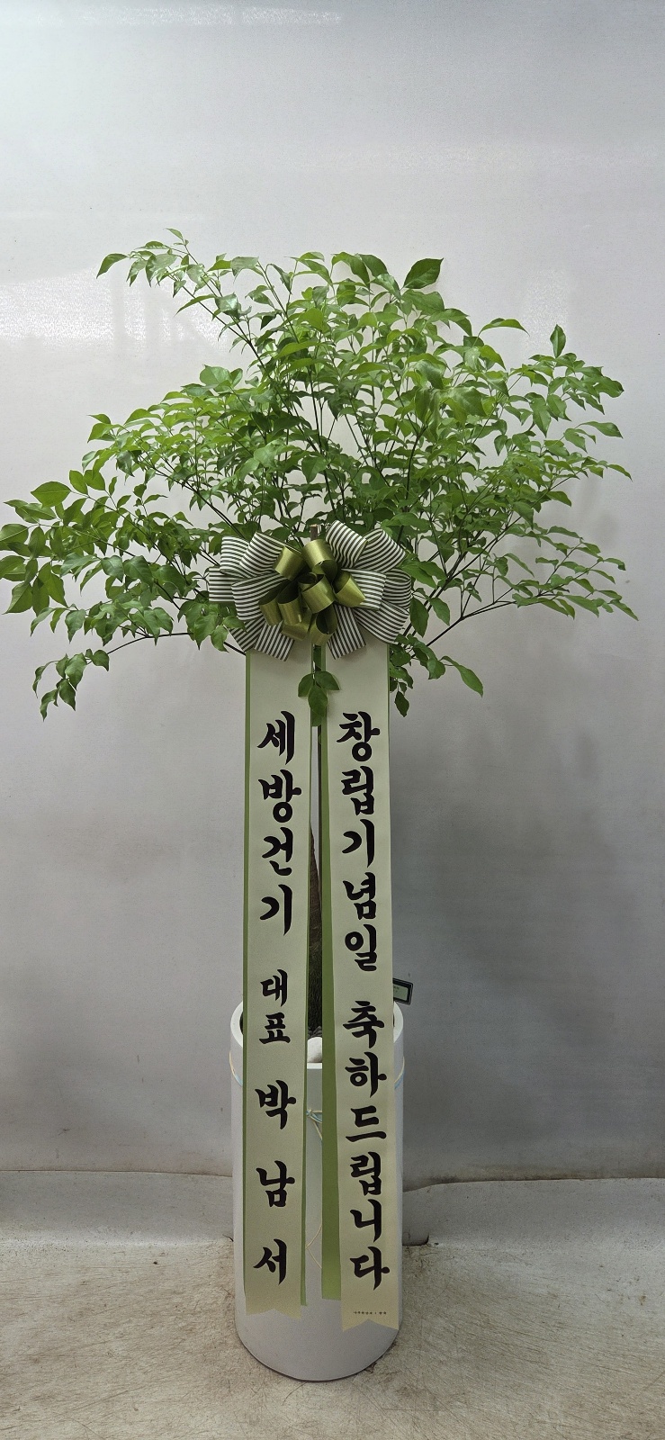 업로드 이미지