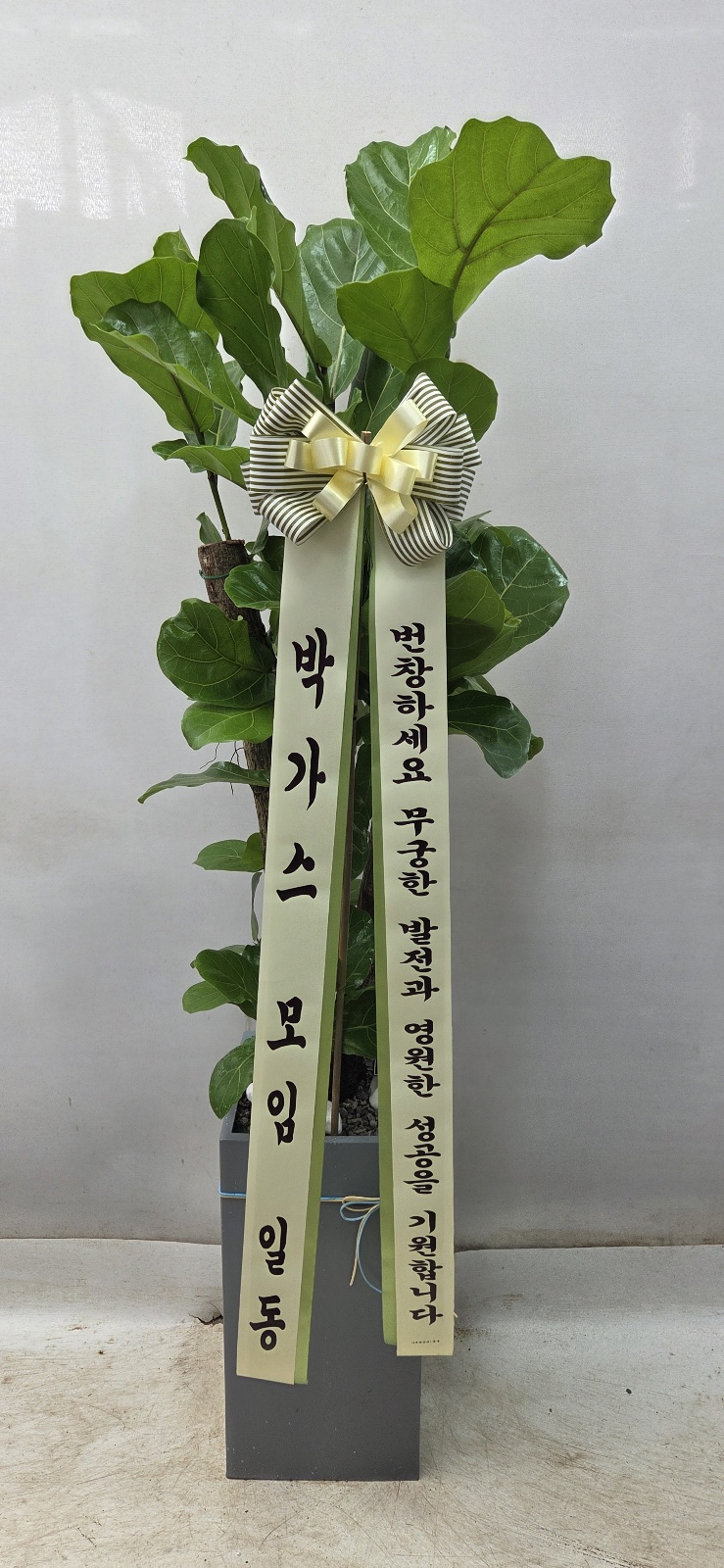 업로드 이미지