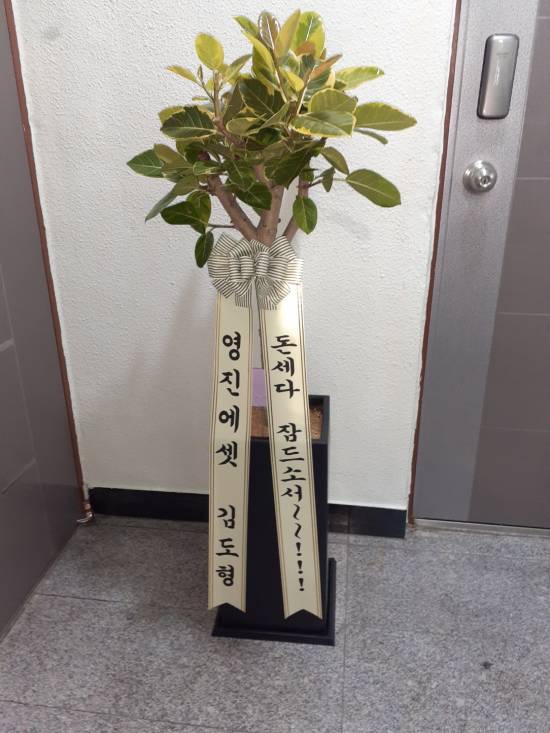 업로드 이미지