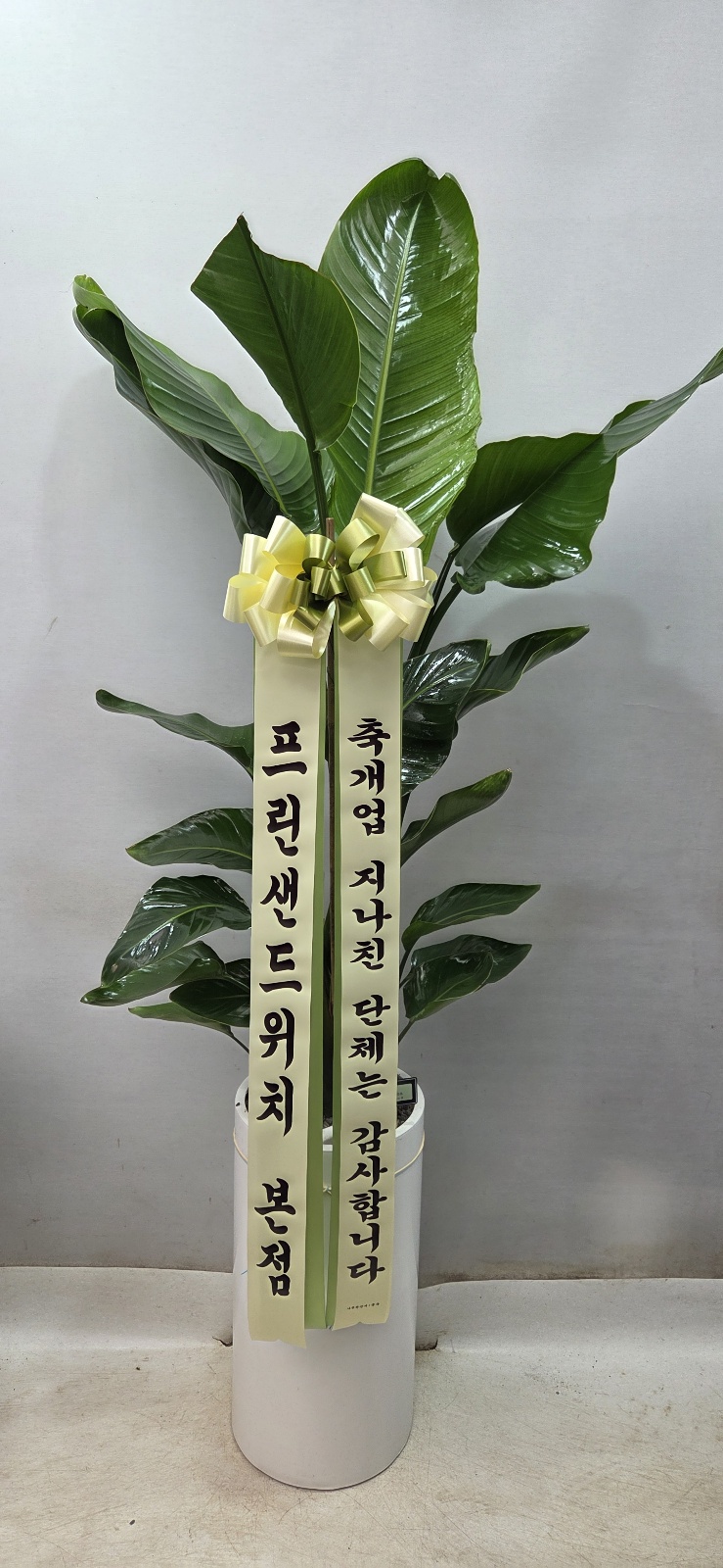 업로드 이미지