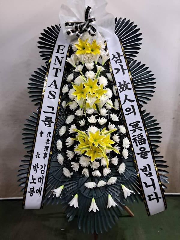 업로드 이미지