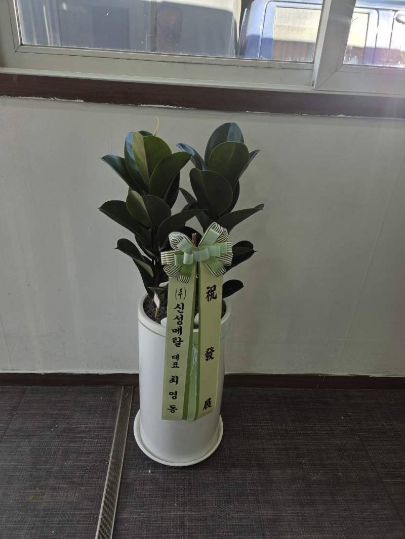 업로드 이미지
