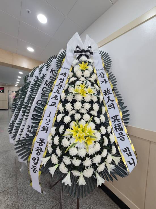 업로드 이미지