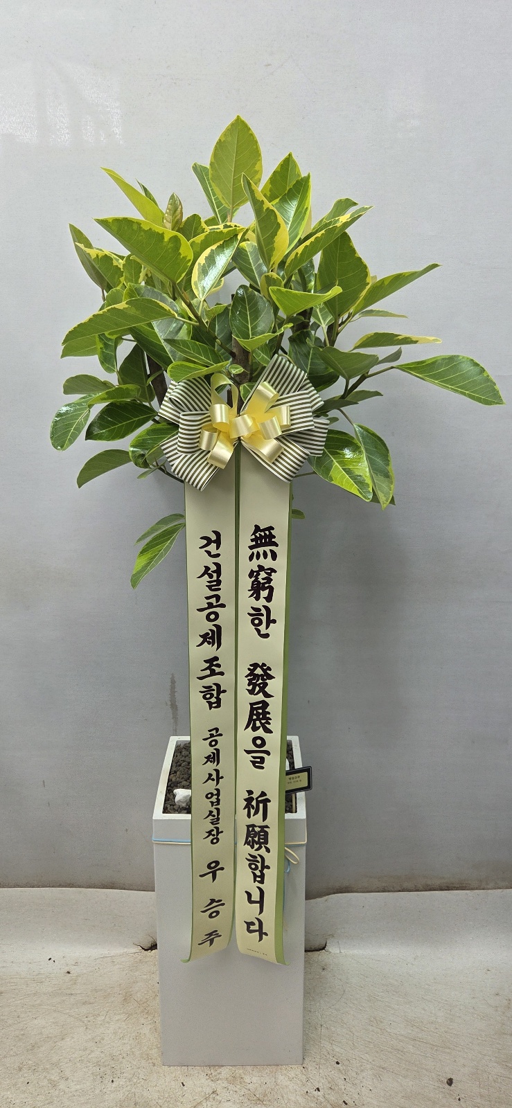 업로드 이미지