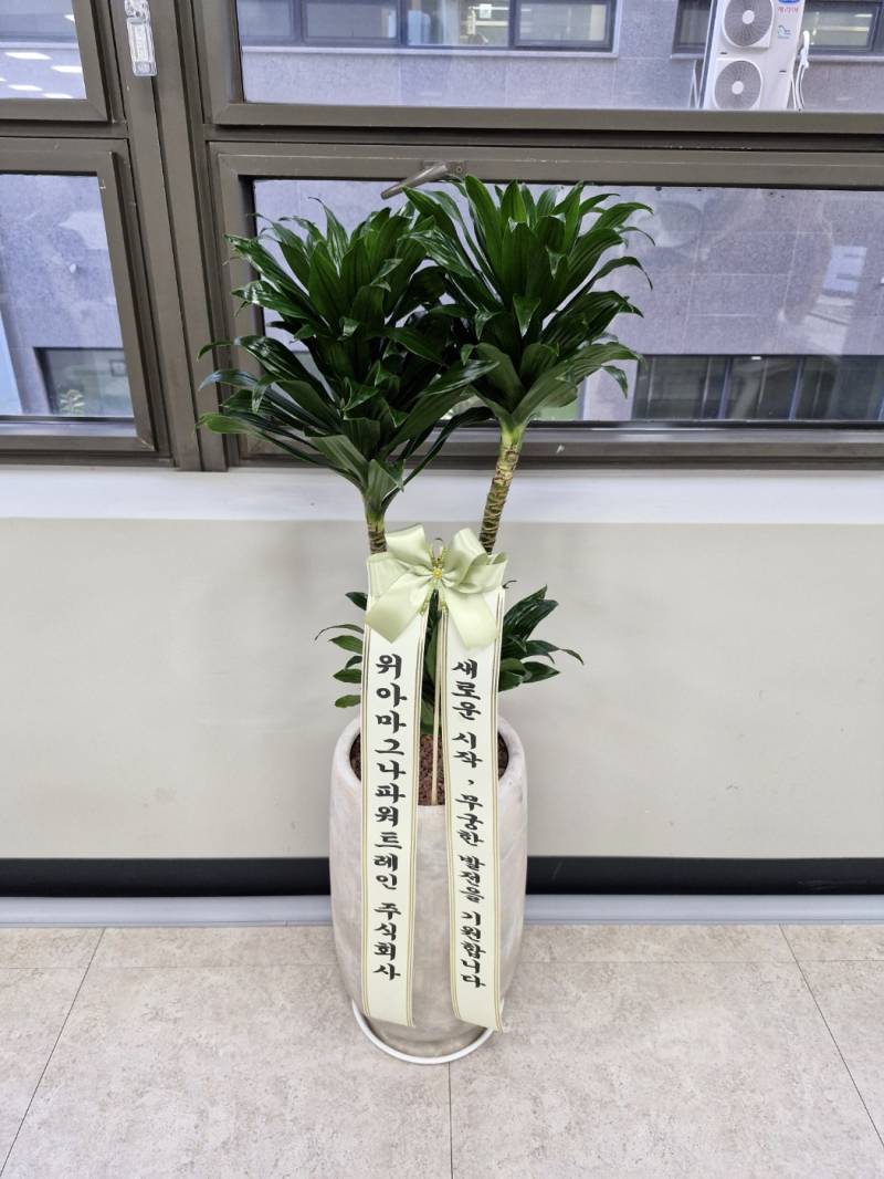 업로드 이미지