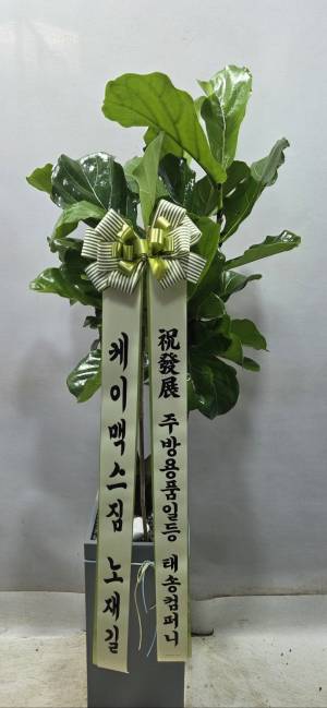 배송사진