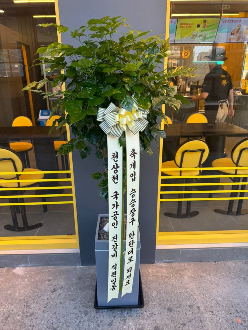 업로드 이미지