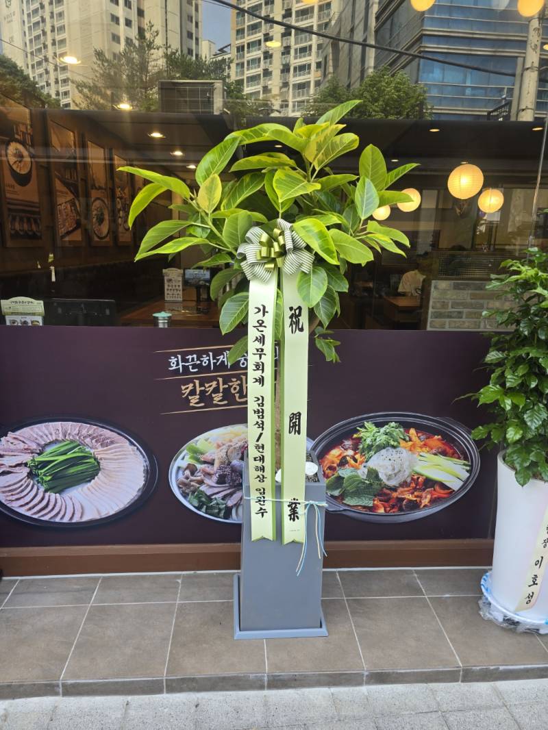 업로드 이미지