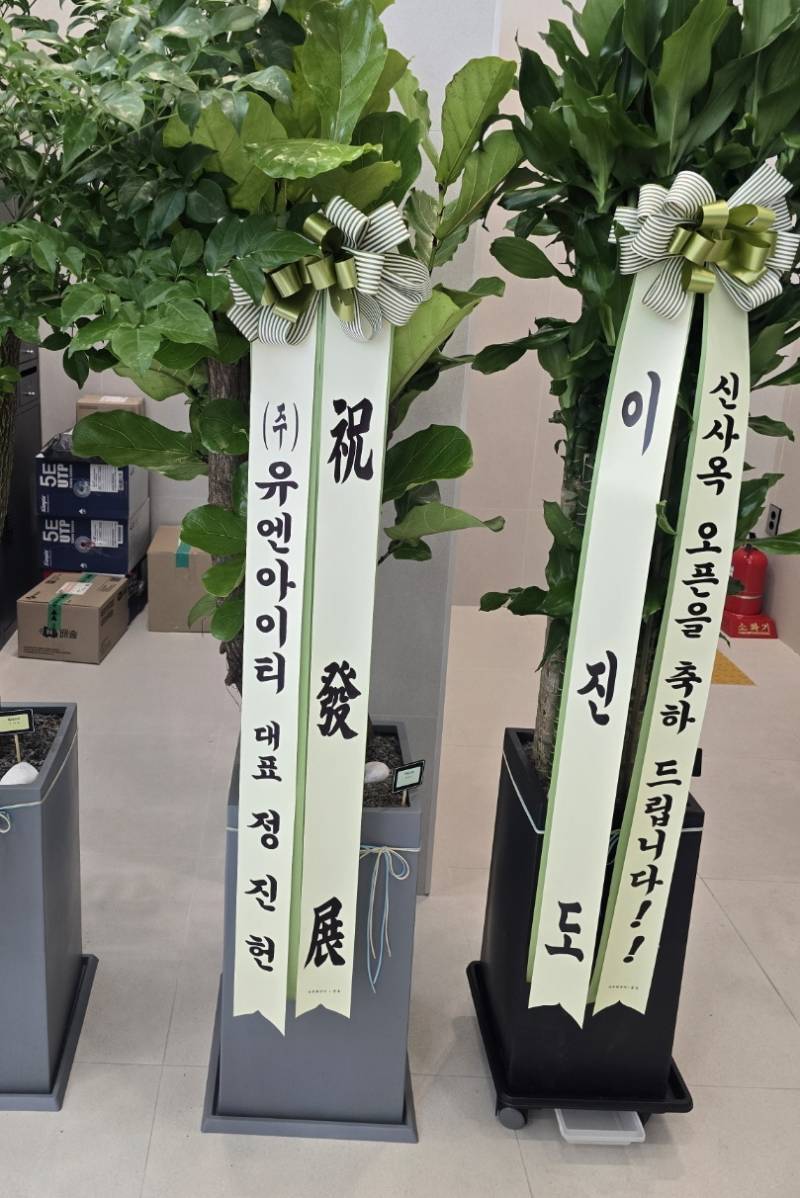 업로드 이미지