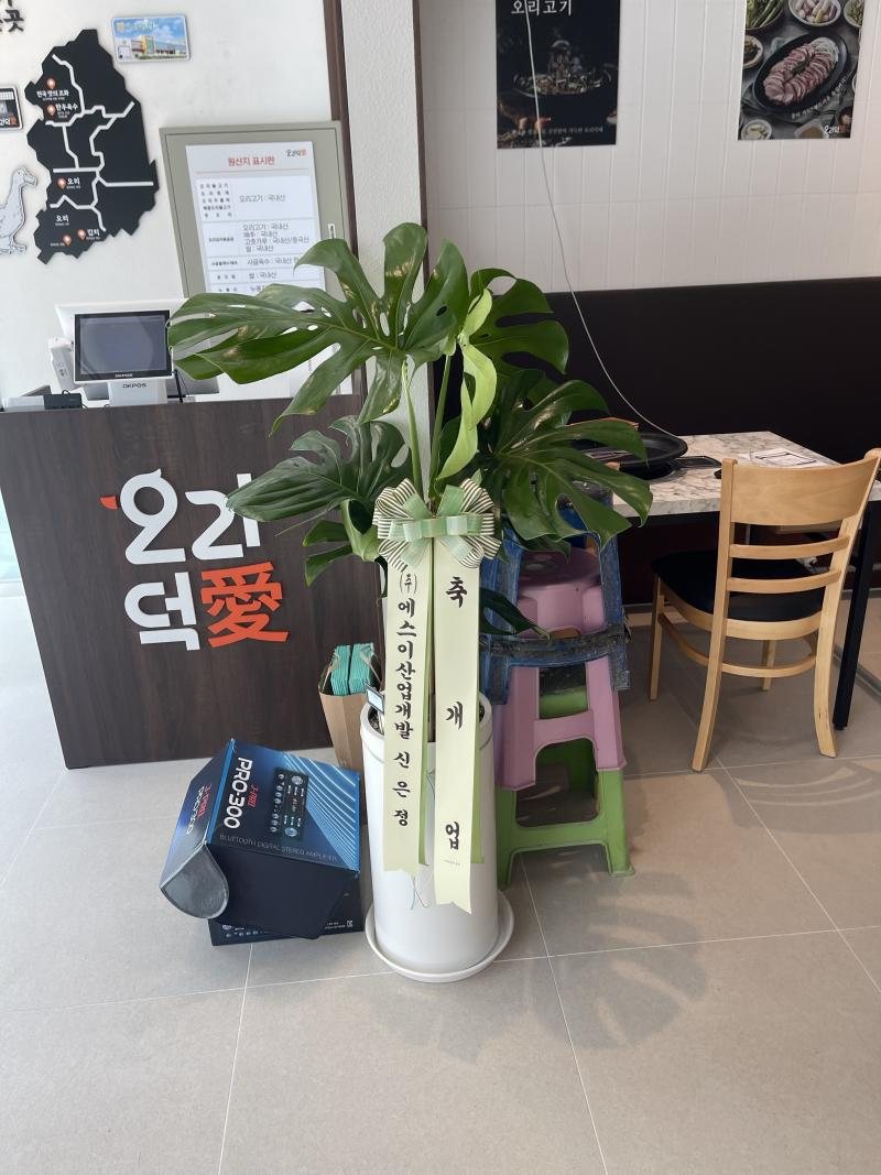 업로드 이미지