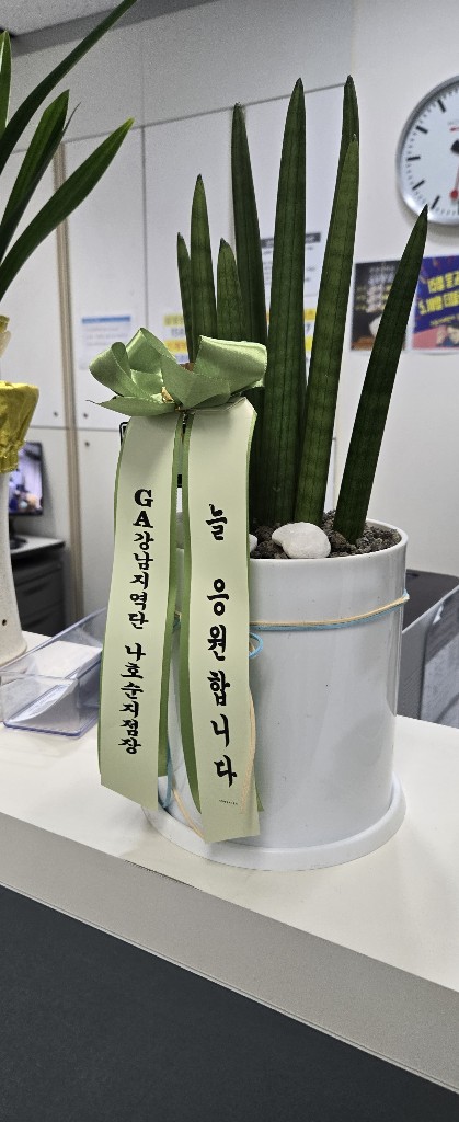 업로드 이미지