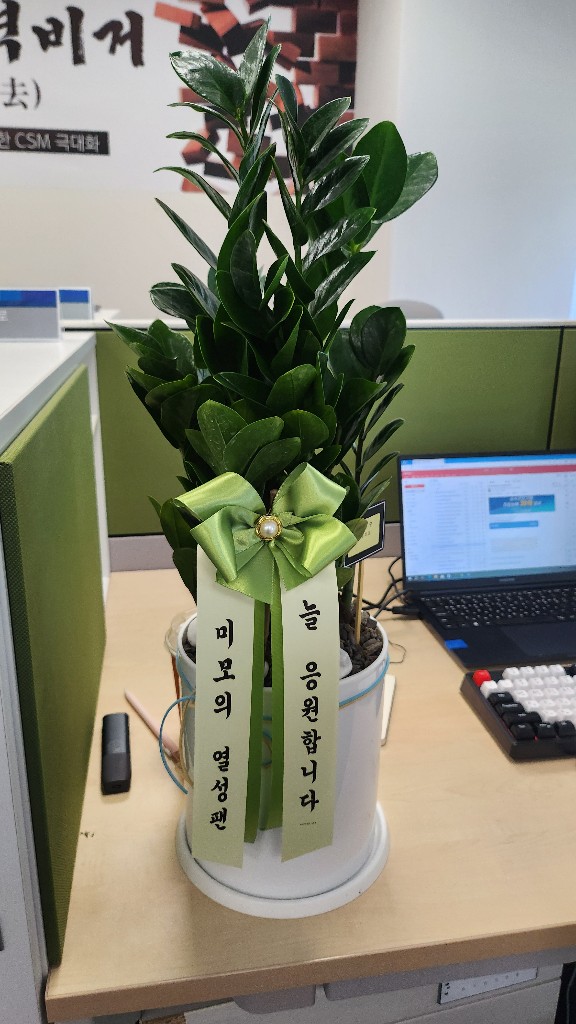 업로드 이미지