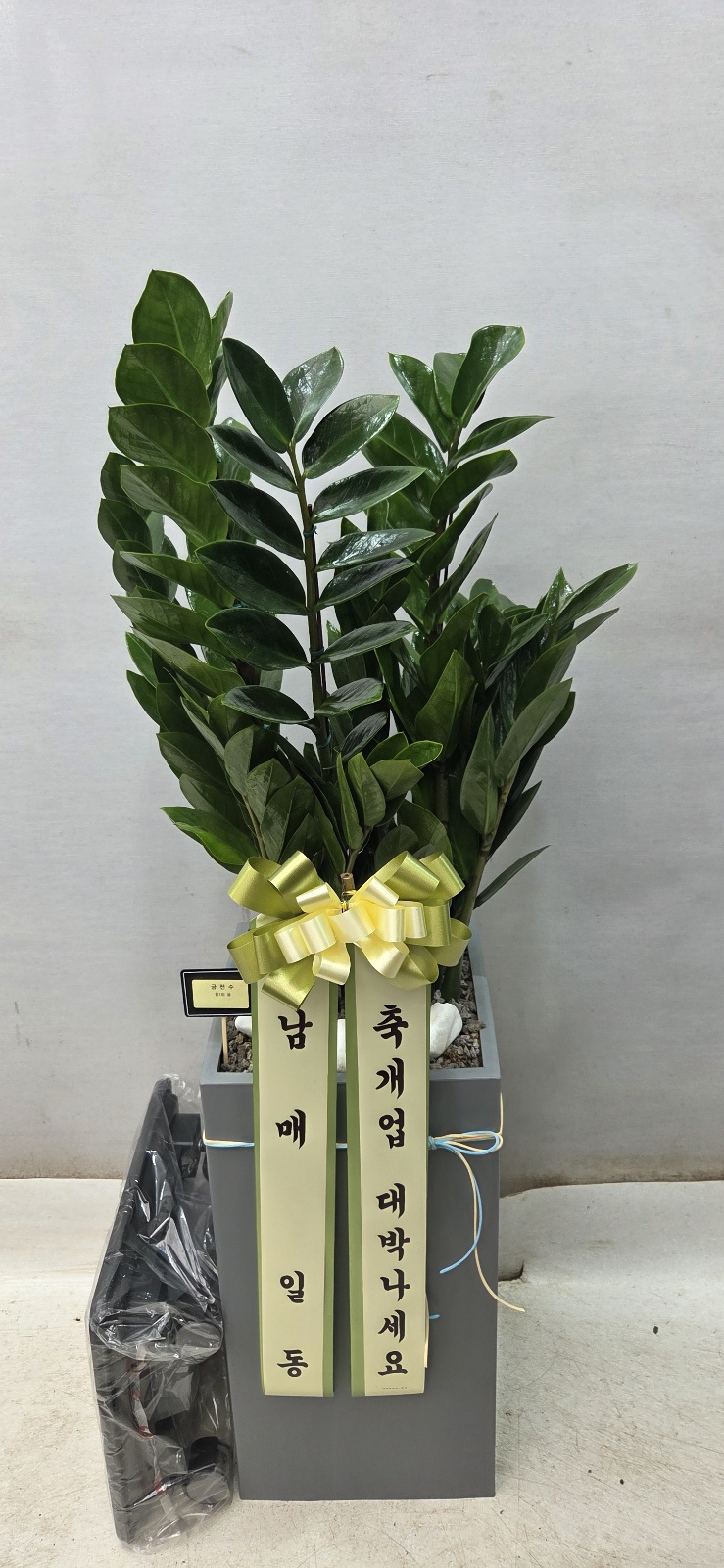 업로드 이미지