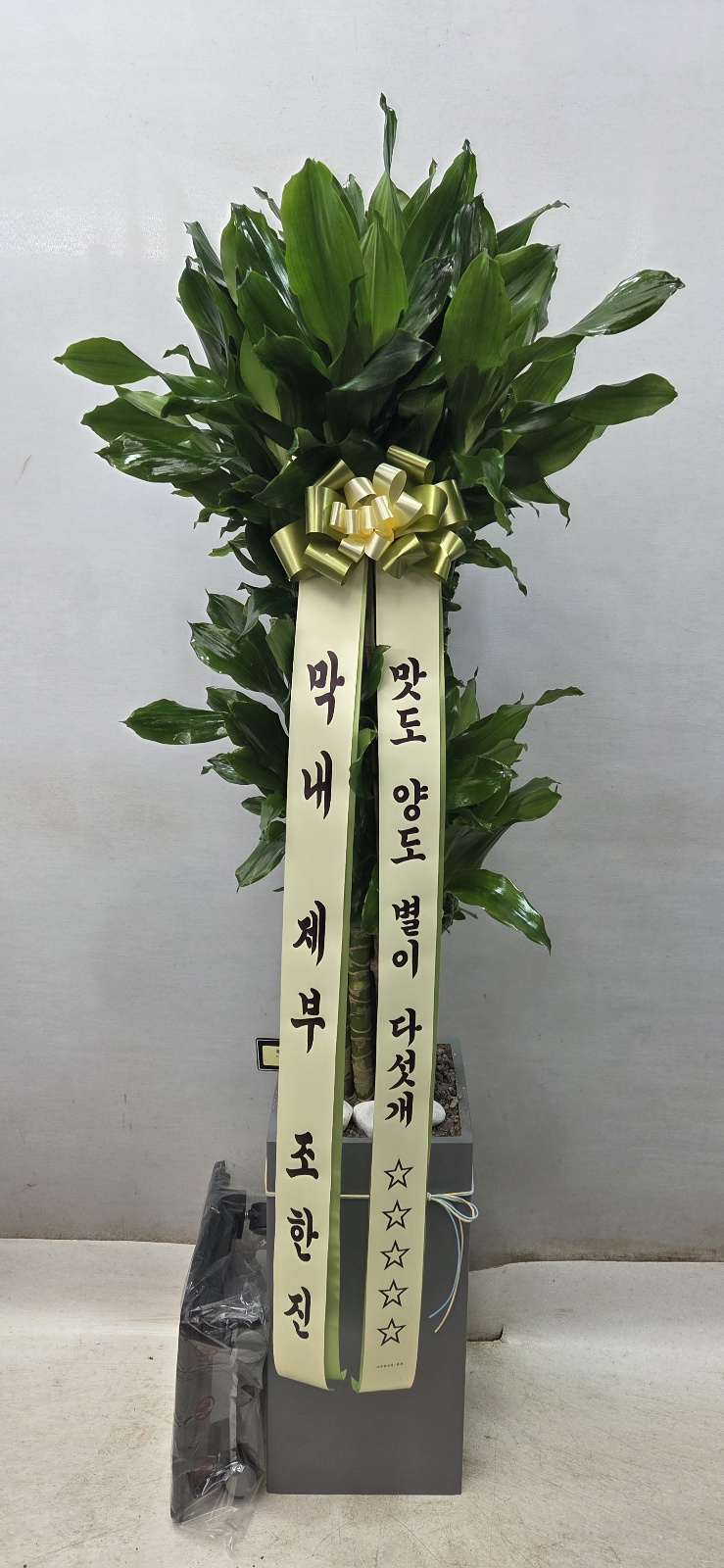 업로드 이미지