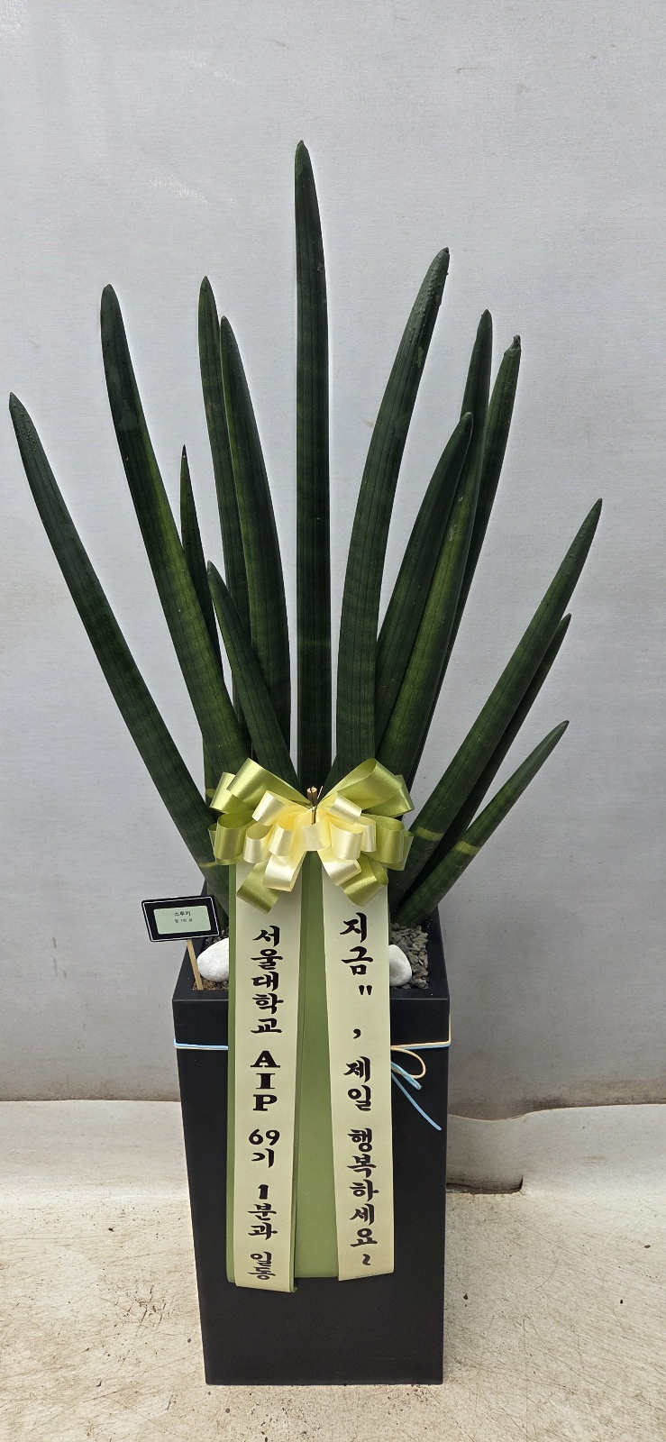 업로드 이미지